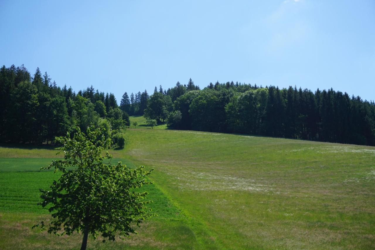 Ehrenmattlehof Faisst Aparthotel Bad Peterstal-Griesbach Exterior photo